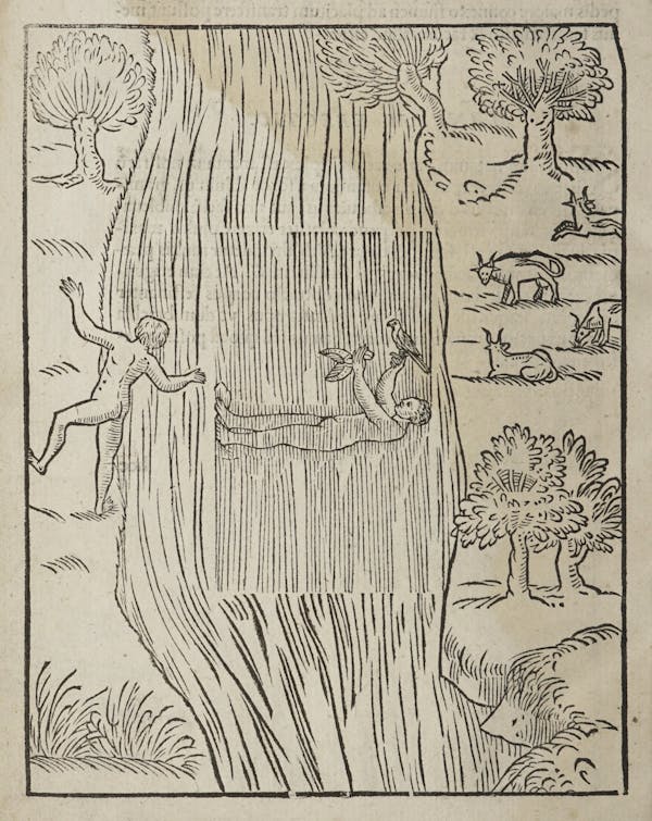 Woodcut of swimming figures