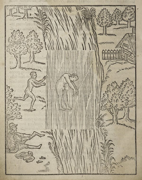 Woodcut of swimming figures