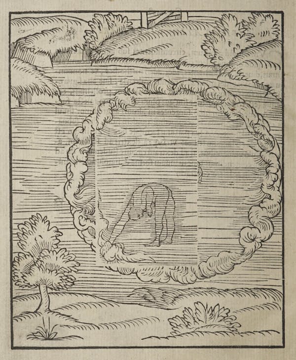 Woodcut of swimming figures