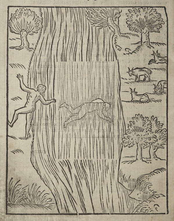 Woodcut of swimming figures