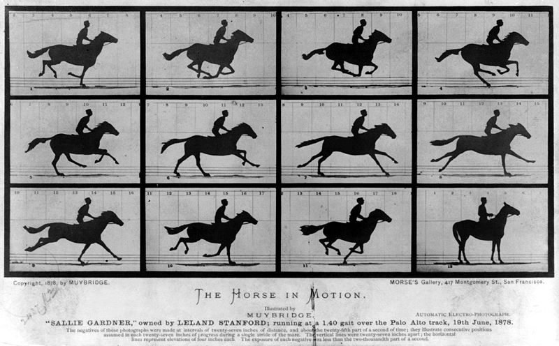 The Attitudes of Animals in Motion, Illustrated with the Zoopraxiscope  (1882) – The Public Domain Review