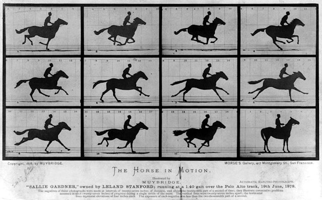 The Attitudes of Animals in Motion, Illustrated with the Zoopraxiscope (1882)