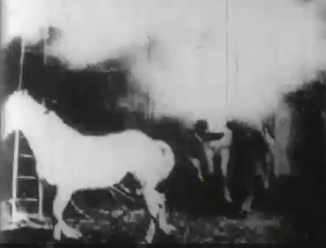 The Burning Stable (1896)