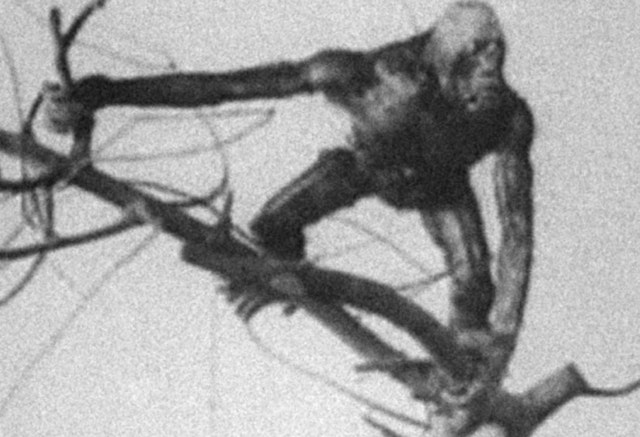 The Dinosaur and the Missing Link: A Prehistoric Tragedy (1917)