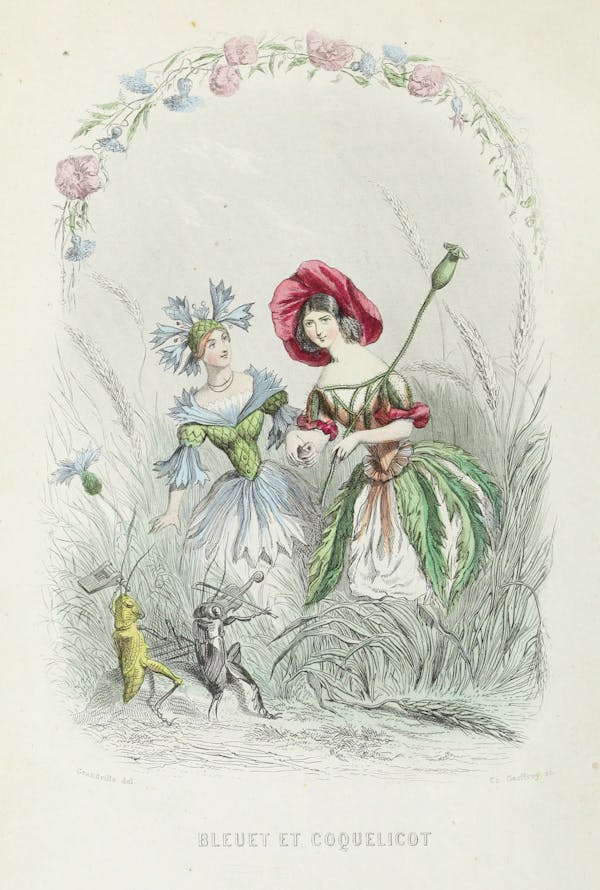 Grandville illustration of flowers