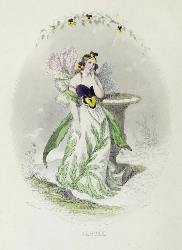 Grandville illustration of flowers