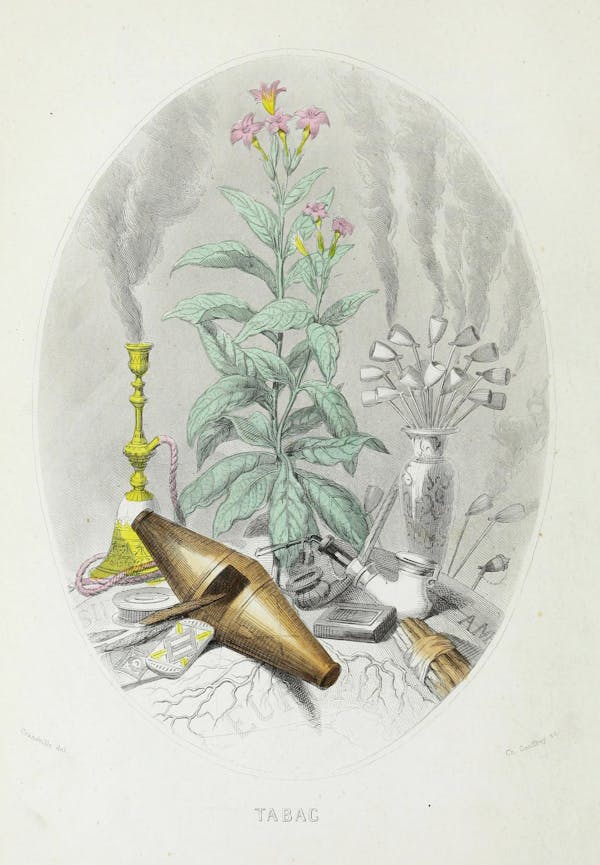 Grandville illustration of flowers