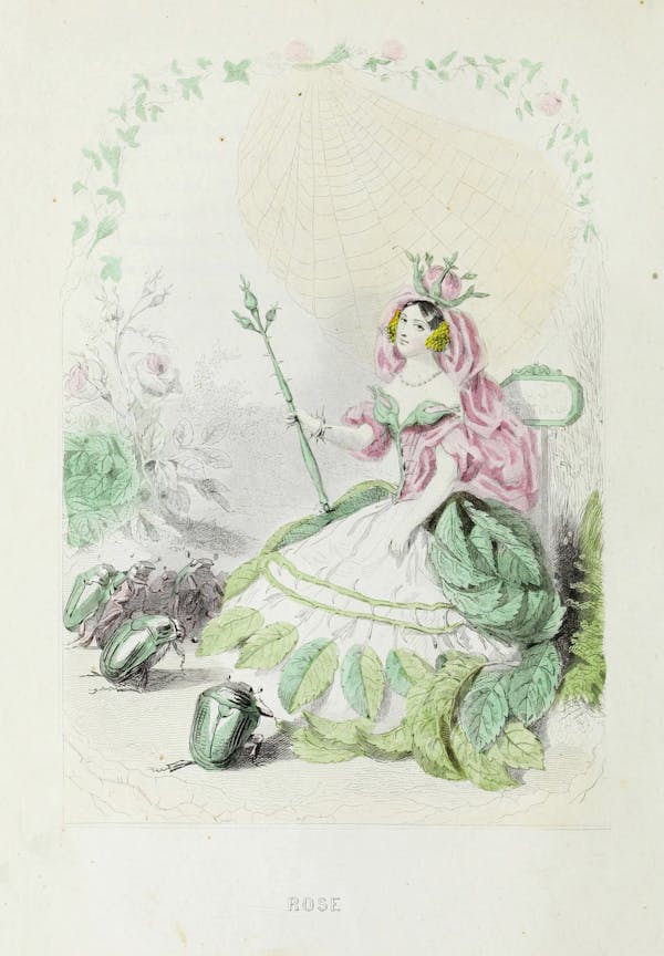 Grandville illustration of flowers