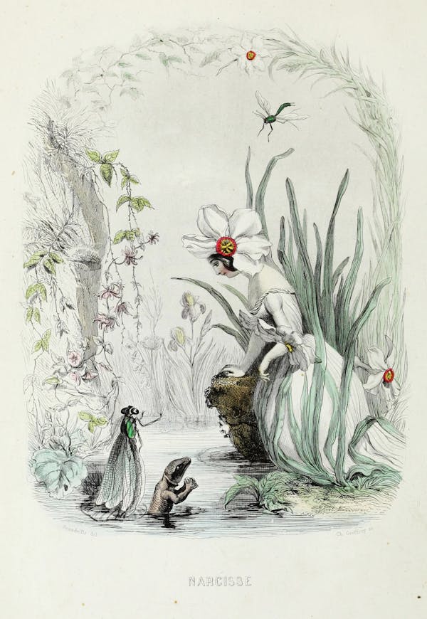 Grandville illustration of flowers