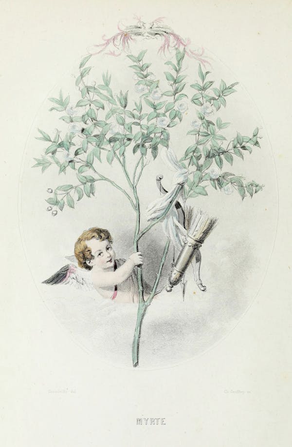 Grandville illustration of flowers