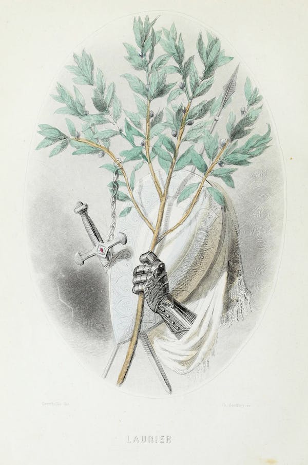 Grandville illustration of flowers