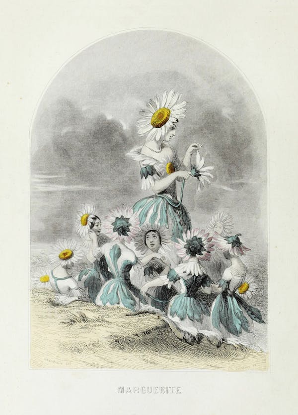 Grandville illustration of flowers