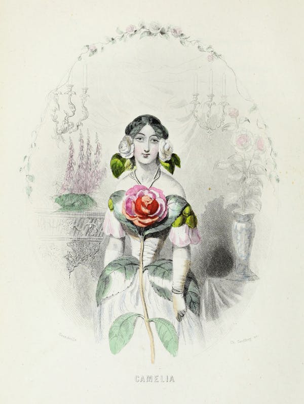 Grandville illustration of flowers