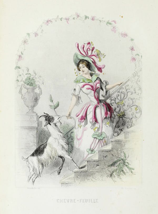 Grandville illustration of flowers