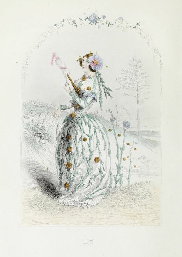 Grandville illustration of flowers