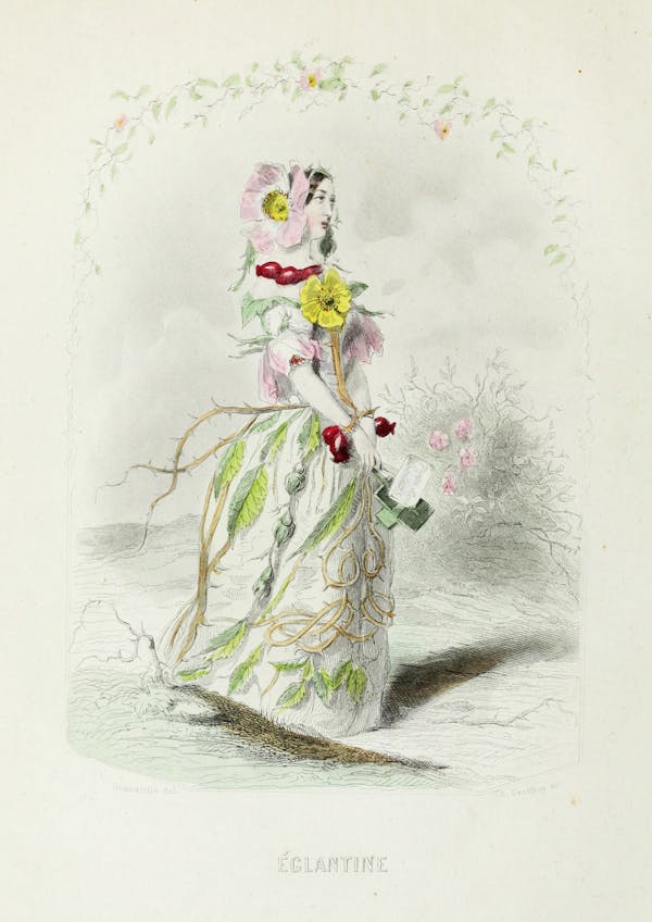 Grandville illustration of flowers