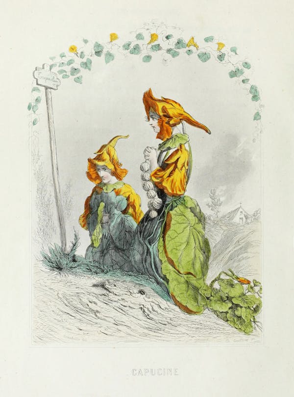 Grandville illustration of flowers