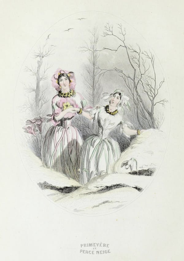 Grandville illustration of flowers