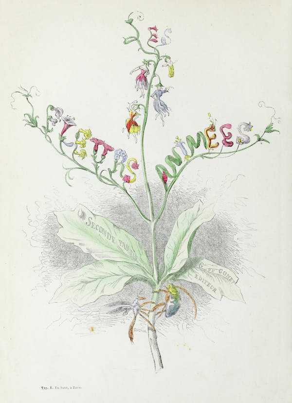 Grandville illustration of flowers