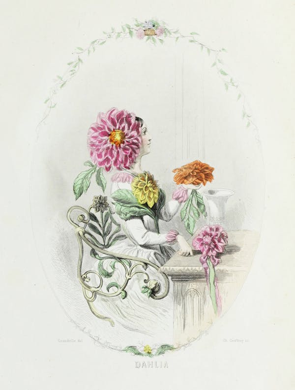 Grandville illustration of flowers