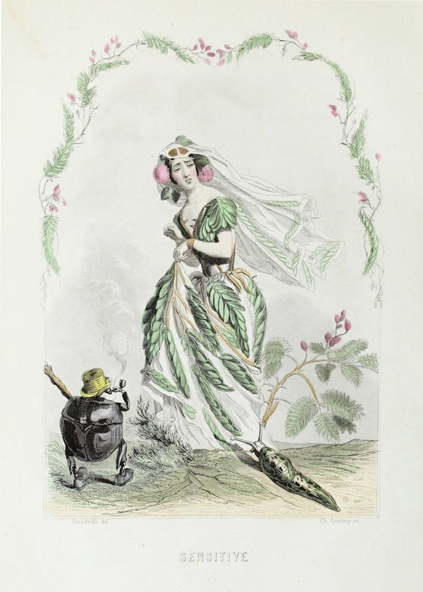 Grandville illustration of flowers