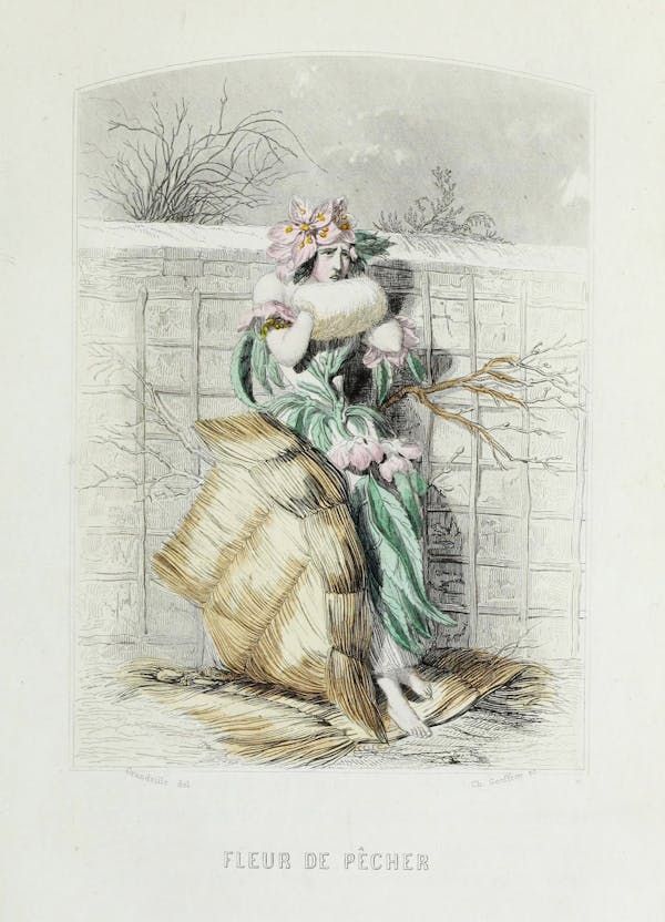 Grandville illustration of flowers