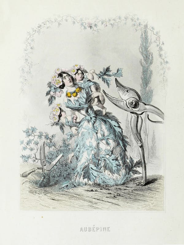 Grandville illustration of flowers