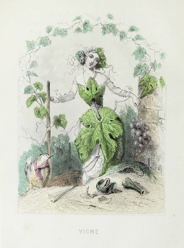 Grandville illustration of flowers