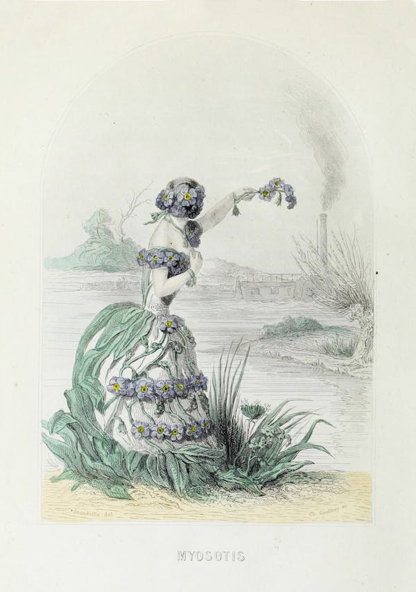 Grandville illustration of flowers