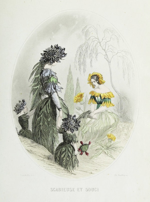 Grandville illustration of flowers