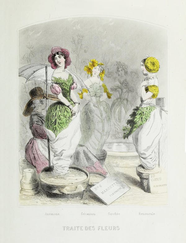 Grandville illustration of flowers