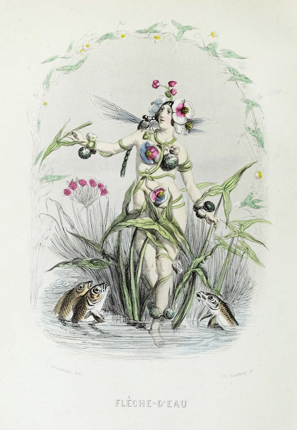 Grandville illustration of flowers