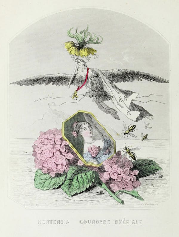 Grandville illustration of flowers