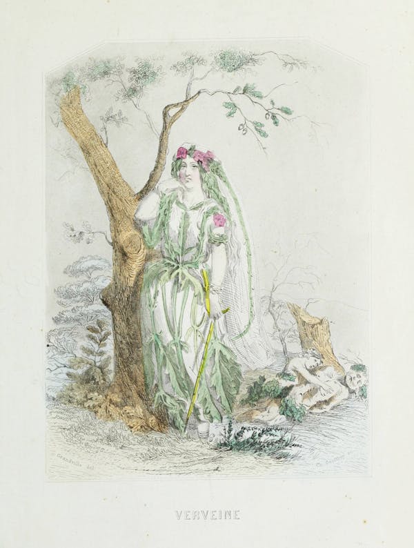 Grandville illustration of flowers