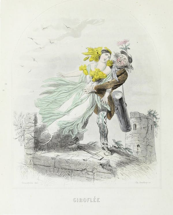 Grandville illustration of flowers