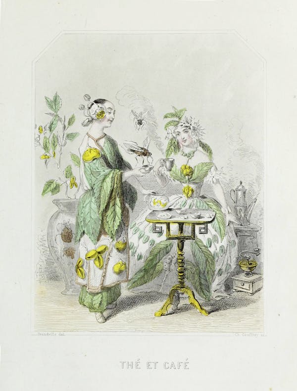 Grandville illustration of flowers