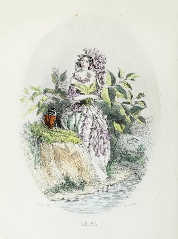 Grandville illustration of flowers