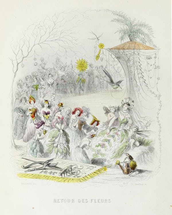 Grandville illustration of flowers