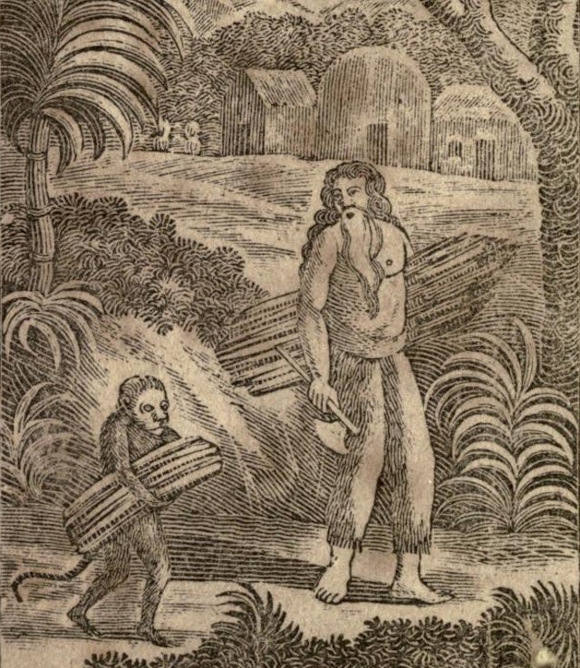 The Hermit; or, The Unparalleled Sufferings, and Surprising Adventures, of Philip Quarll (1814)