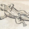 The History of Four-footed Beasts and Serpents (1658)