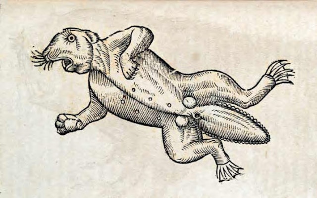 The History of Four-footed Beasts and Serpents (1658)