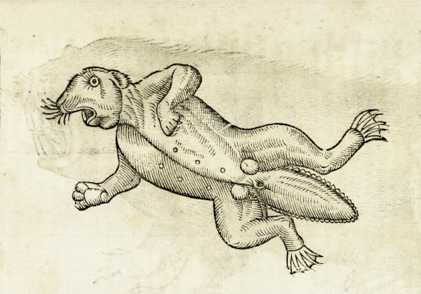 Woodcut illustration of animal