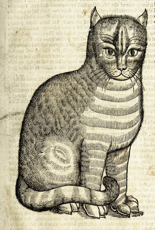 Woodcut illustration of animal