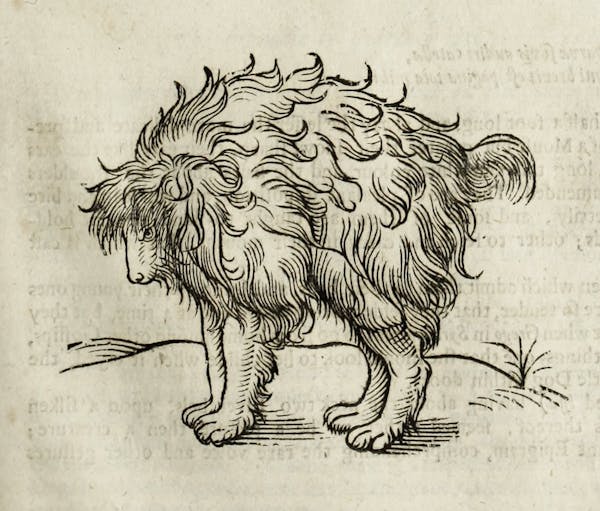 Woodcut illustration of animal