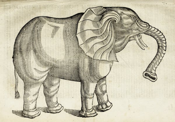 Woodcut illustration of animal