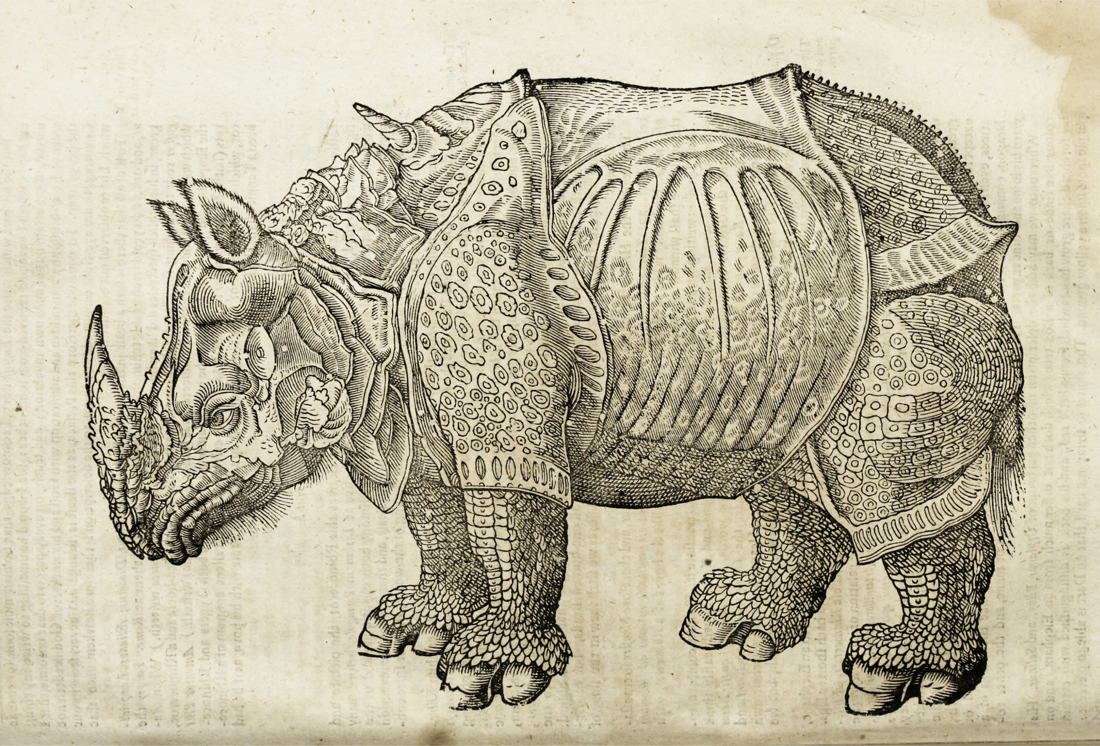 The History of Four-Footed Beasts and Serpents* (1658) — The