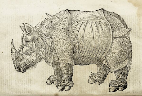 Woodcut illustration of animal