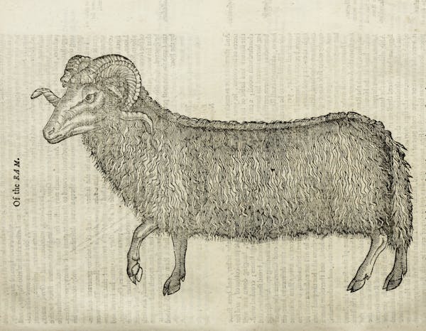 Woodcut illustration of animal