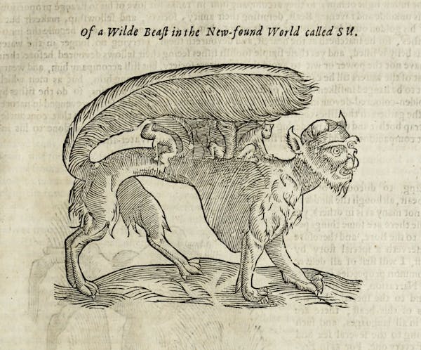 Woodcut illustration of animal