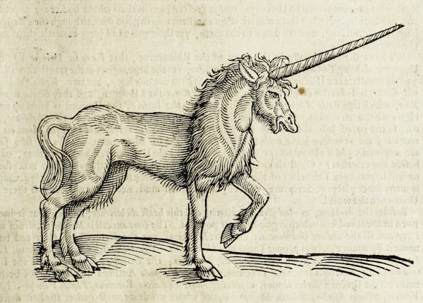 Woodcut illustration of animal